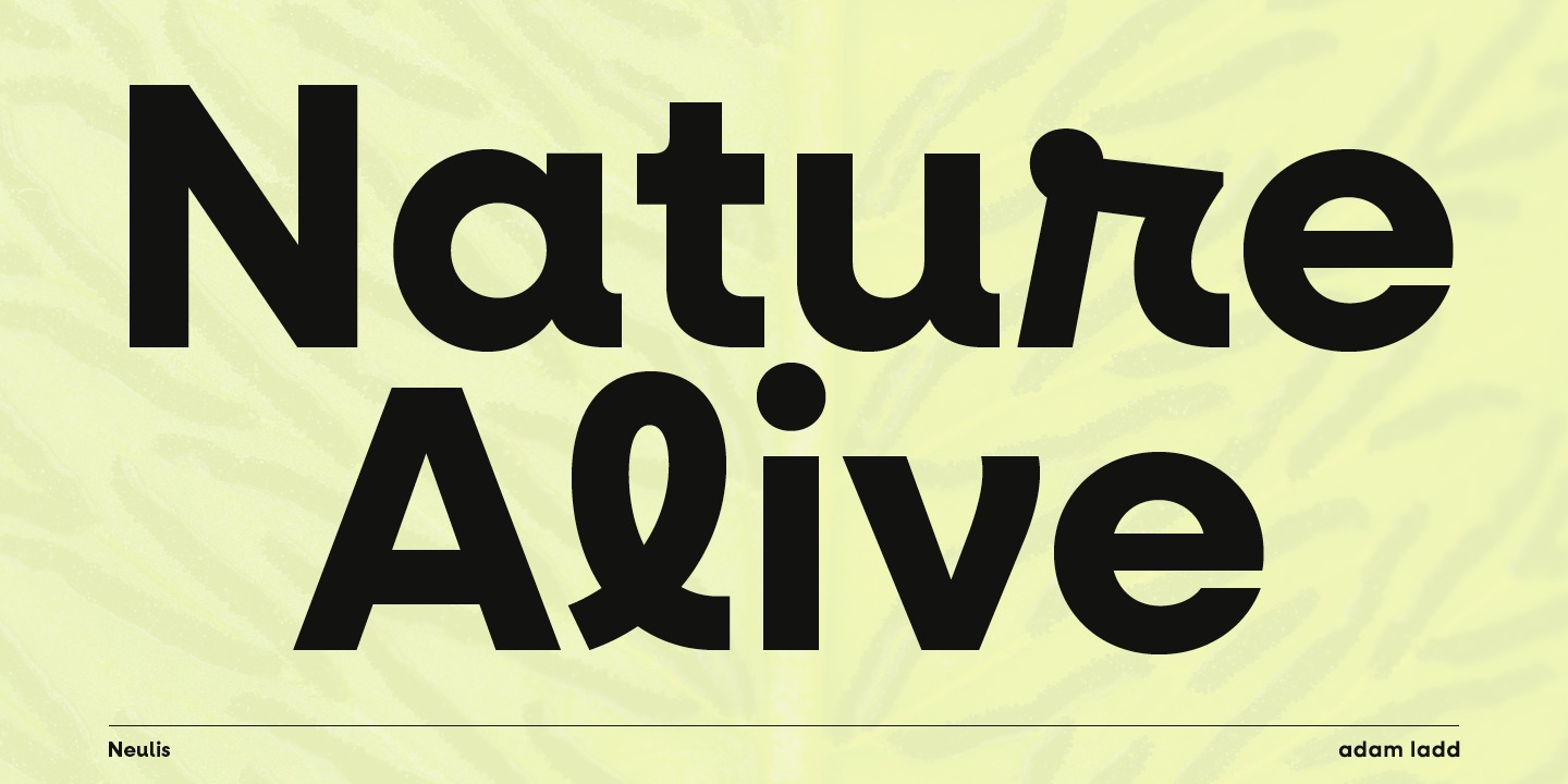 Neulis Extra Bold Italic Font preview